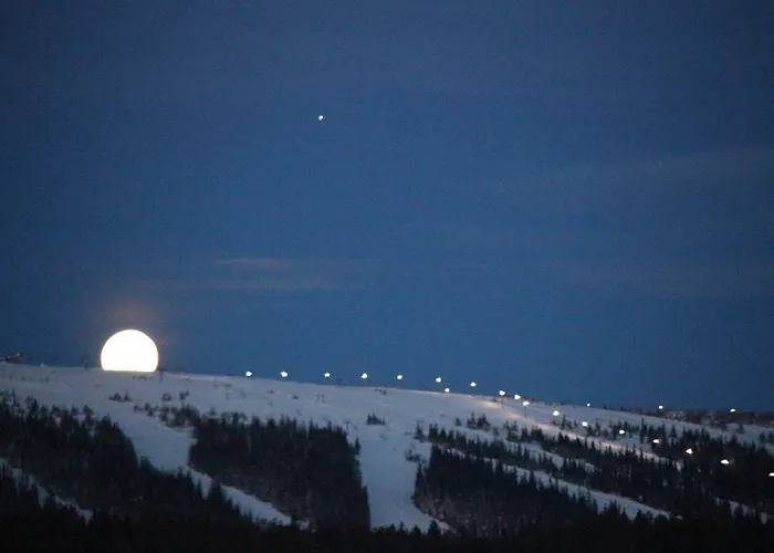 Utsikten i Sälens by